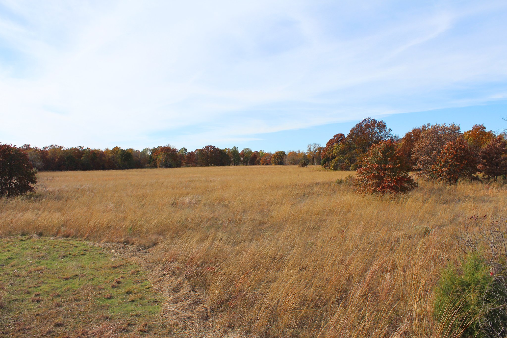 Tract 11 - OKLAHOMA LAND & REAL ESTATE AUCTION, 438 +/- Acres offered in 13 Tracts